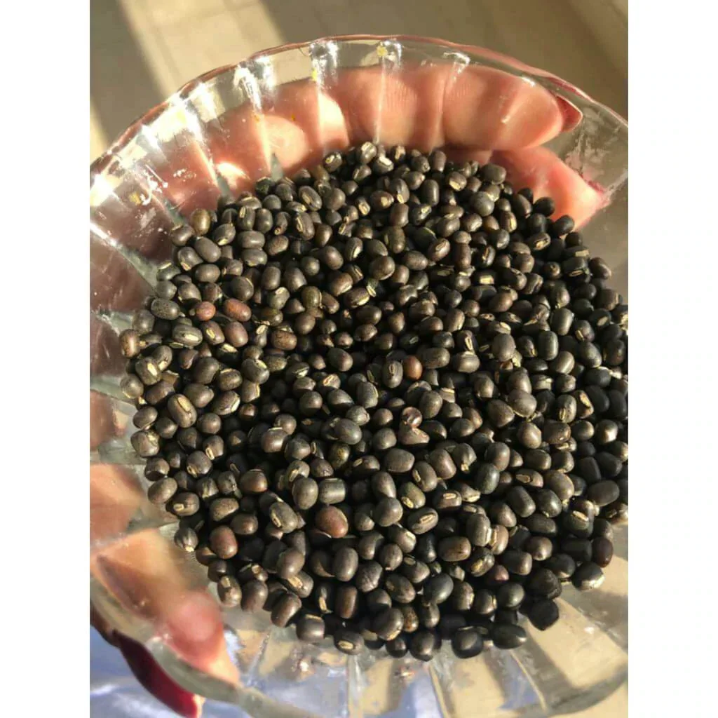 Balaayah Black Gram Booster 📦 - Image 10