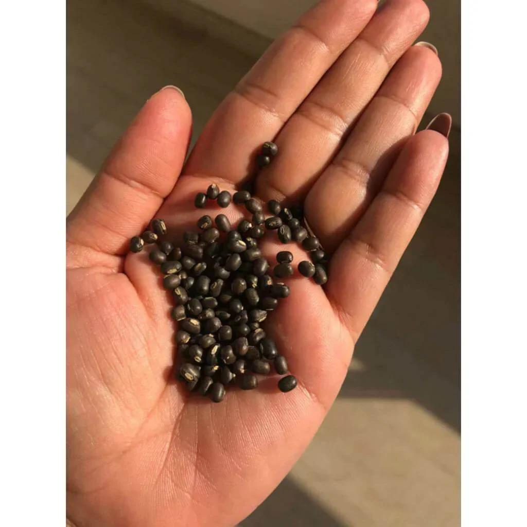 Balaayah Black Gram Booster 📦 - Image 9